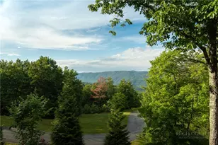 115 Passionflower Trail, Boone, NC 28607 - Photo 21