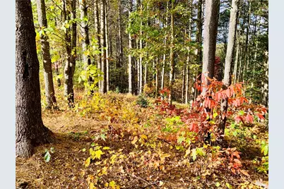 1.34 Acres - Lot 234 Waterfall Lane, Lenoir, NC 28645 - Photo 9