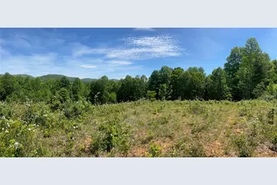 Lot 5 Madison Lane, West Jefferson, NC 28640 - Photo 1