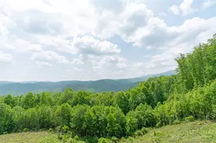 191 Falcon Trace, Boone, NC 28607 - Photo 15