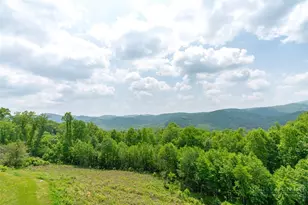 191 Falcon Trace, Boone, NC 28607 - Photo 13
