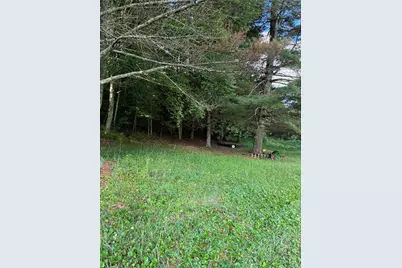Tbd Mt Zion Church Road, Piney Creek, NC 28663 - Photo 5