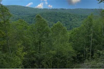 Lot 35 Little Tree Lane, Elk Park, NC 28622 - Photo 3