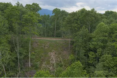 Lot 35 Little Tree Lane, Elk Park, NC 28622 - Photo 11