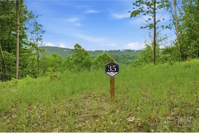 Lot 35 Little Tree Lane, Elk Park, NC 28622 - Photo 1