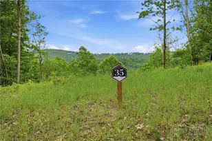 Lot 35 Little Tree Ln, Elk Park, NC 28622 - Photo 1