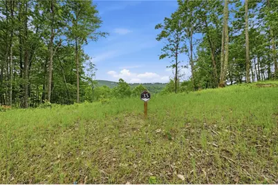 Lot 35 Little Tree Lane, Elk Park, NC 28622 - Photo 9