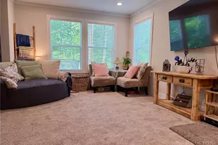 4483 Hickory Nut Gap Rd, Banner Elk, NC 28604 - Photo 7