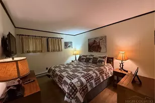 1491 Sugar Mountain Dr, Sugar Mountain, NC 28604 - Photo 17