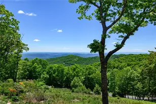 597 Blazing Star Trl, Boone, NC 28607 - Photo 47