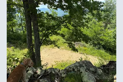 1040 Eagles Nest Trail, Banner Elk, NC 28622 - Photo 3