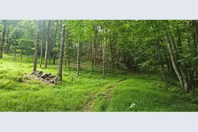 Tbd Beech Nut Drive, West Jefferson, NC 28694 - Photo 5