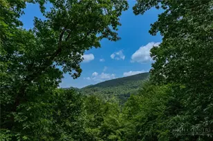 100 Ravens View, Boone, NC 28607 - Photo 13