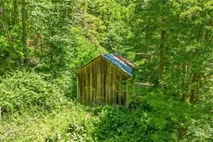 803 W Brushy Fork Rd, Creston, NC 28615 - Photo 39