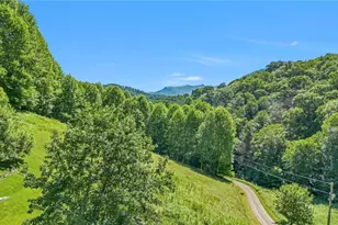 803 W Brushy Fork Rd, Creston, NC 28615 - Photo 41