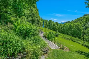 803 W Brushy Fork Rd, Creston, NC 28615 - Photo 33