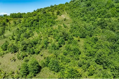 455 Shawnee Road, Banner Elk, NC 28604 - Photo 29