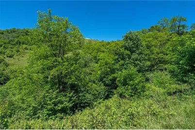 455 Shawnee Road, Banner Elk, NC 28604 - Photo 41