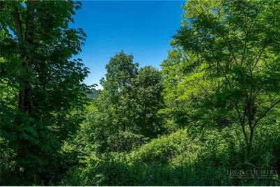 455 Shawnee Road, Banner Elk, NC 28604 - Photo 37