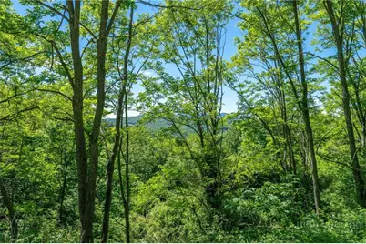 455 Shawnee Road, Banner Elk, NC 28604 - Photo 35