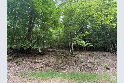 139 Red Fox Lane, Beech Mountain, NC 28604 - Photo 5