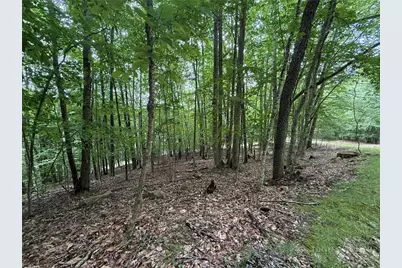 139 Red Fox Lane, Beech Mountain, NC 28604 - Photo 3