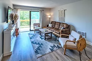 101 Lower Holiday Ln, Beech Mountain, NC 28604 - Photo 3