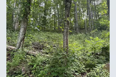 315 Al Blevins Road, Lansing, NC 28643 - Photo 13