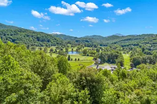 96 Elk Knob Ct, Banner Elk, NC 28604 - Photo 47