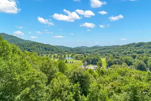 96 Elk Knob Ct, Banner Elk, NC 28604 - Photo 49
