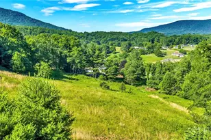 1518 Wade Bare Rd, Jefferson, NC 28640 - Photo 43