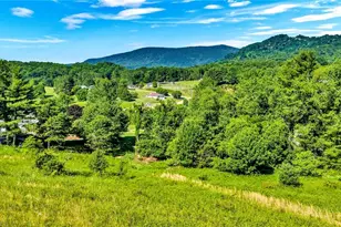 1518 Wade Bare Rd, Jefferson, NC 28640 - Photo 41