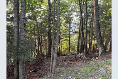 Lot 21 Boxwood, Boone, NC 28607 - Photo 5