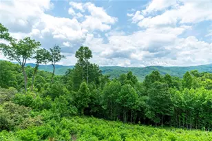 155 Falcon Trace, Boone, NC 28607 - Photo 17