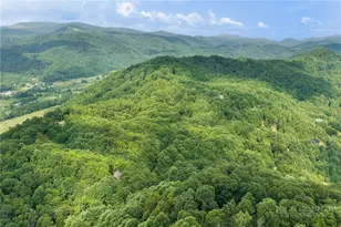 581 New Homestead Dr, Vilas, NC 28692 - Photo 49