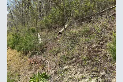 Tbd New River Overlook (Lot 7), West Jefferson, NC 28640 - Photo 17