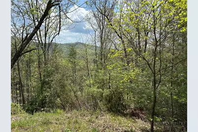 Tbd New River Overlook (Lot 7), West Jefferson, NC 28640 - Photo 3