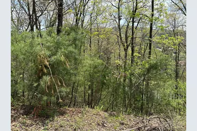 Tbd New River Overlook (Lot 7), West Jefferson, NC 28640 - Photo 9