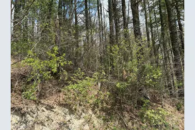 Tbd New River Overlook (Lot 7), West Jefferson, NC 28640 - Photo 19