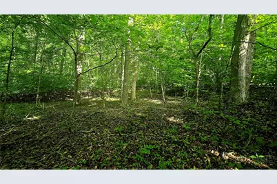 Lot 11 Elk Creek Mountain Prkwy, Todd, NC 28684 - Photo 5