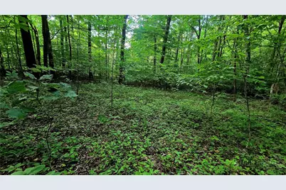Lot 11 Elk Creek Mountain Prkwy, Todd, NC 28684 - Photo 9