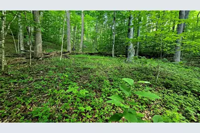 Lot 11 Elk Creek Mountain Prkwy, Todd, NC 28684 - Photo 3