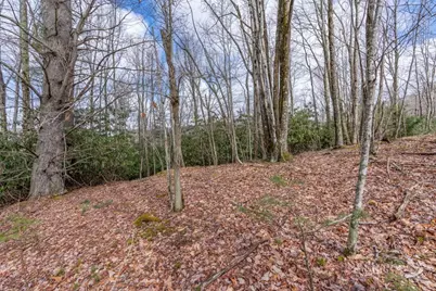 107 Chicory Lane, Beech Mountain, NC 28604 - Photo 9