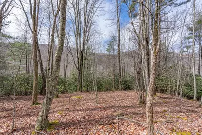107 Chicory Lane, Beech Mountain, NC 28604 - Photo 7