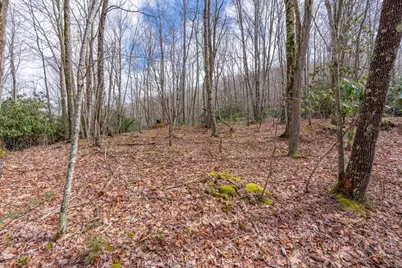 107 Chicory Lane, Beech Mountain, NC 28604 - Photo 11