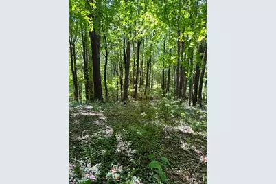 Tbd Town View Street, West Jefferson, NC 28694 - Photo 3