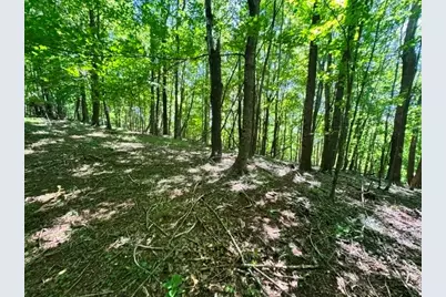 Tbd Town View Street, West Jefferson, NC 28694 - Photo 5