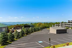301 Pinnacle Inn Rd, Beech Mountain, NC 28604 - Photo 9