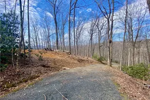 Tbd Old Chestnut Mountain Rd, Newland, NC 28657 - Photo 1