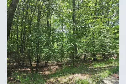 Lot 51 Toms Knob Road #1  51, Sparta, NC 28675 - Photo 3